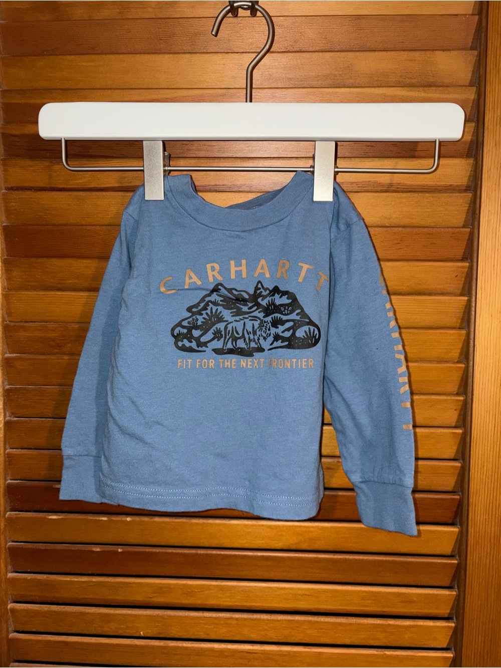 Carhartt Kids Blue Long-Sleeve Graphic Tee with Tan Logo